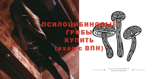 2c-b Арсеньев