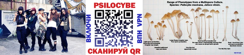 дарнет шоп  Няндома  Псилоцибиновые грибы Magic Shrooms 